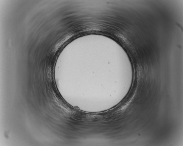 X0000099531113200806131121