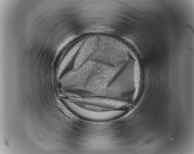 X0000099531114200806131121