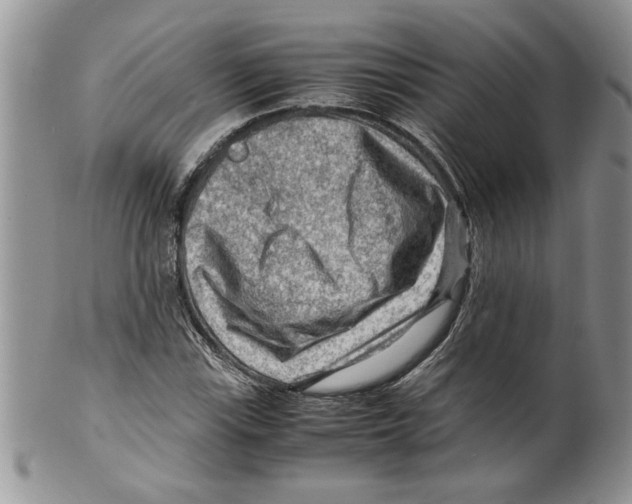 X0000099531115200806131121