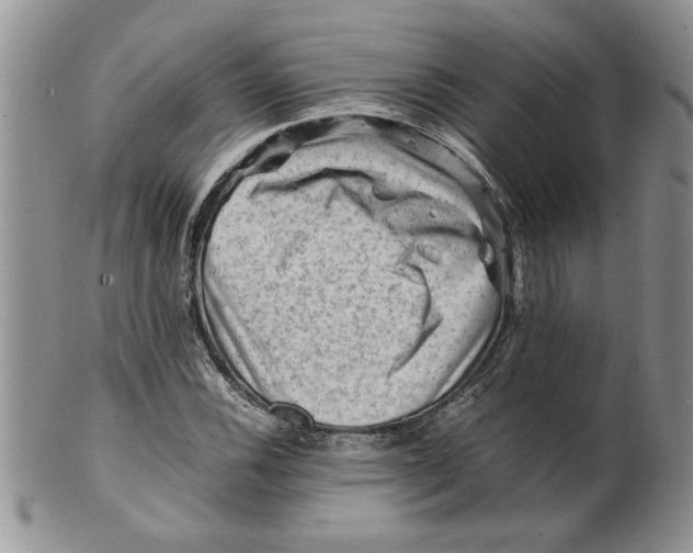 X0000099531116200806131121