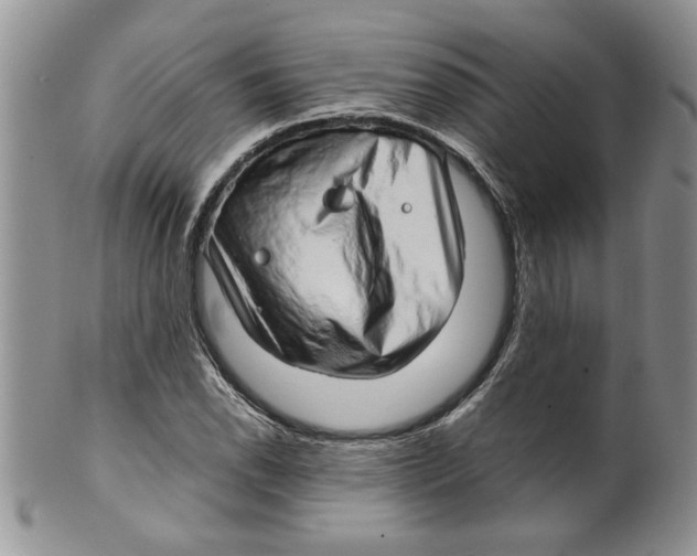 X0000099531118200806131121