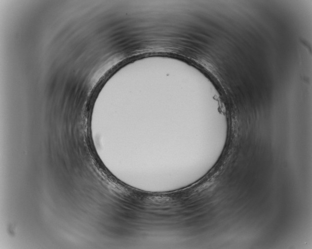 X0000099531119200806131121