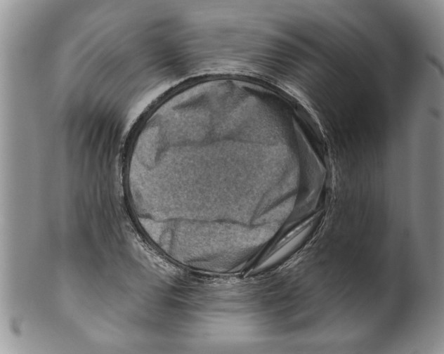 X0000099531120200806131121