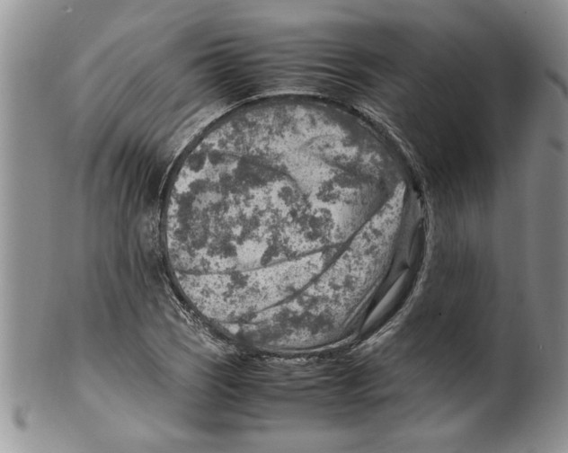 X0000099531121200806131121