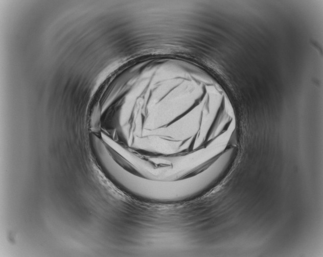 X0000099531122200806131121