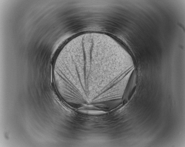 X0000099531123200806131121