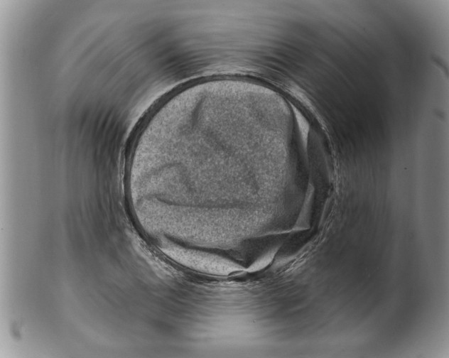 X0000099531124200806131121