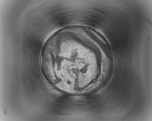 X0000099531125200806131121