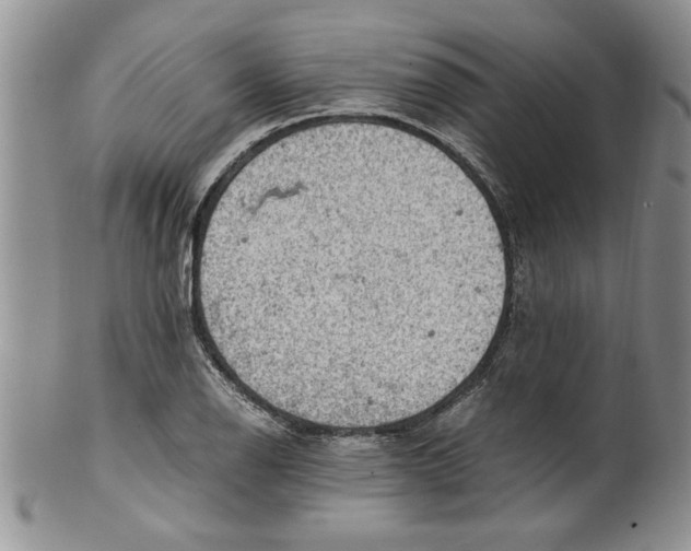 X0000099531126200806131121