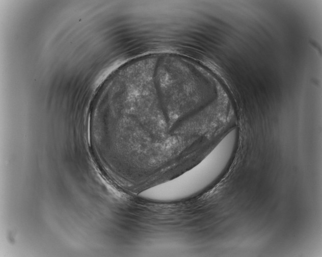 X0000099531127200806131121