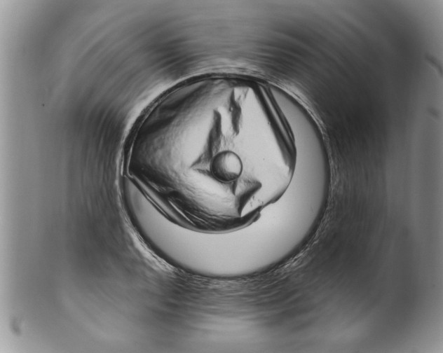 X0000099531128200806131122