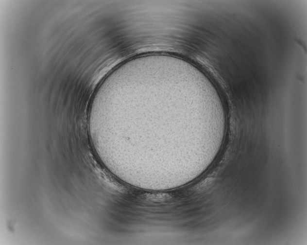 X0000099531129200806131122