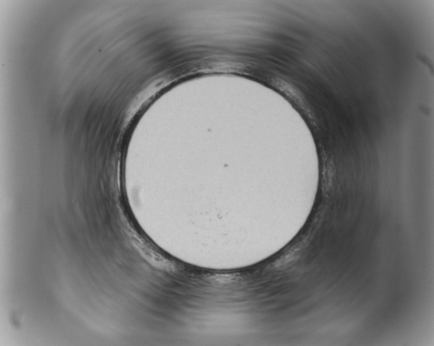 X0000099531130200806131122