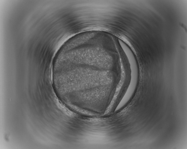 X0000099531132200806131122