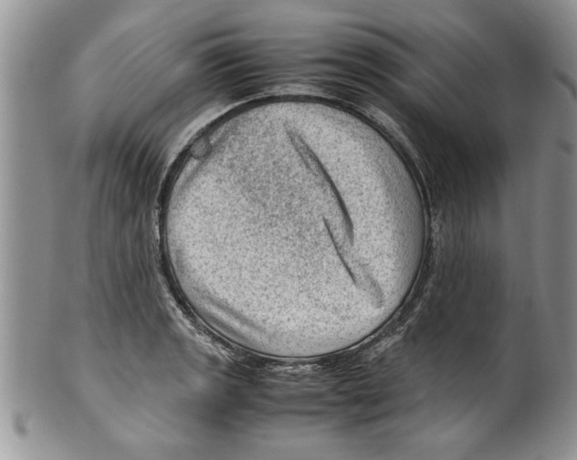 X0000099531133200806131122