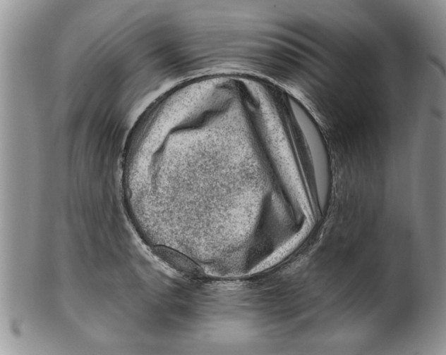 X0000099531134200806131122