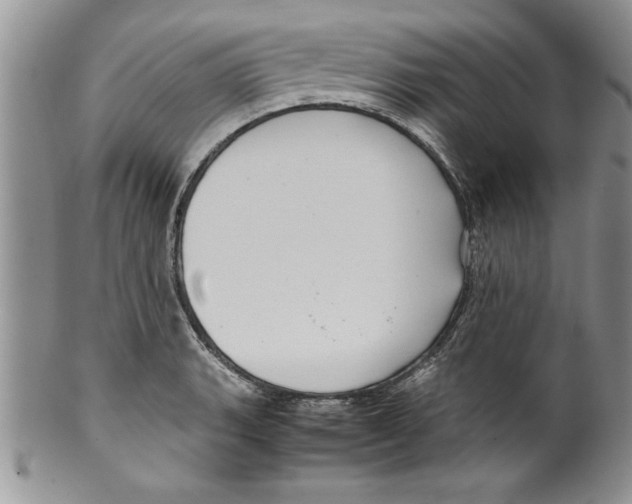 X0000099531135200806131122