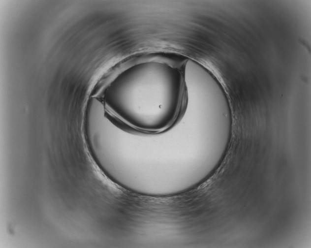 X0000099531136200806131122