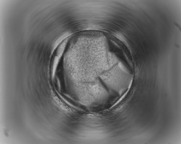 X0000099531138200806131122