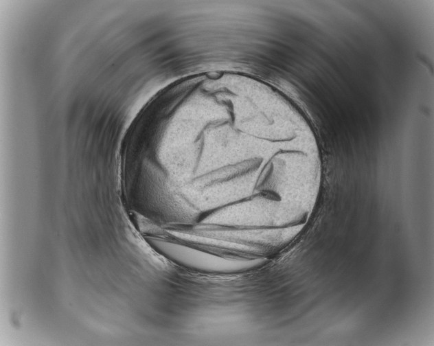 X0000099531140200806131122