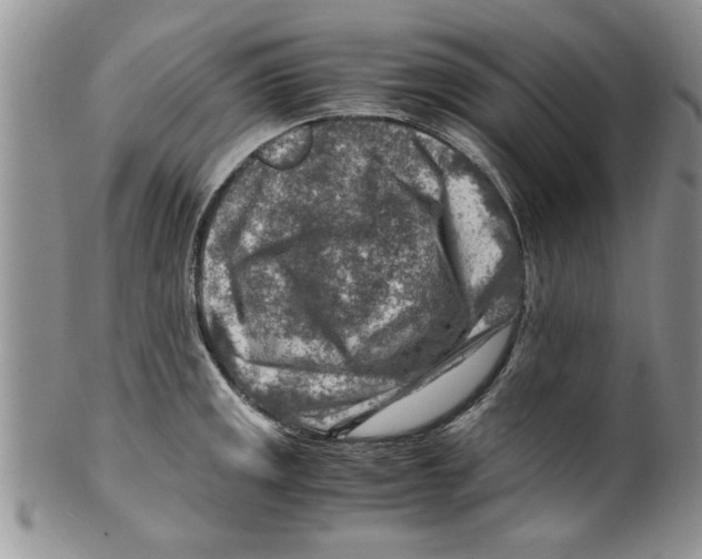 X0000099531141200806131122