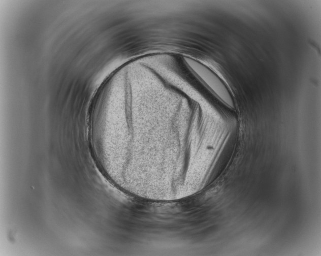 X0000099531143200806131122