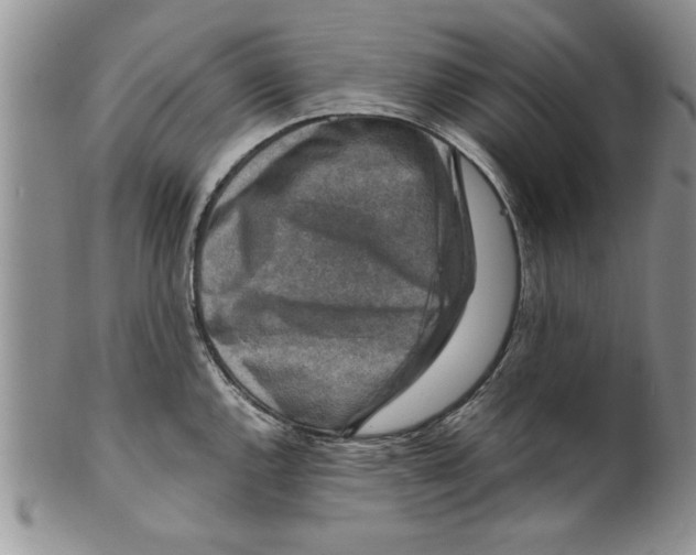 X0000099531144200806131122