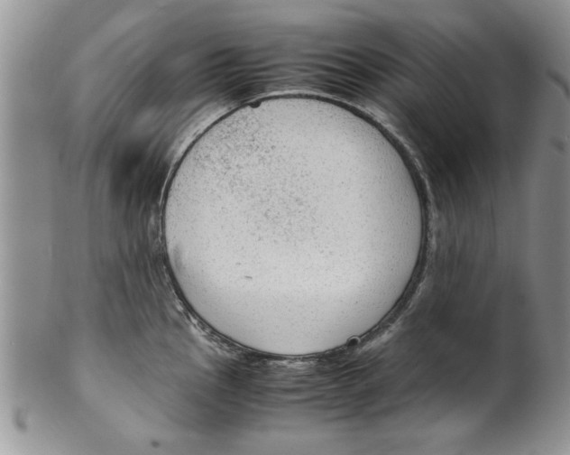 X0000099531145200806131122