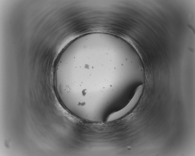 X0000099531147200806131122