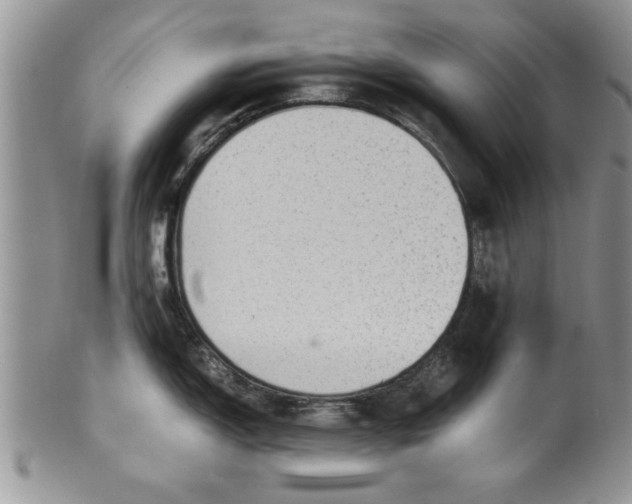 X0000099531150200806131122