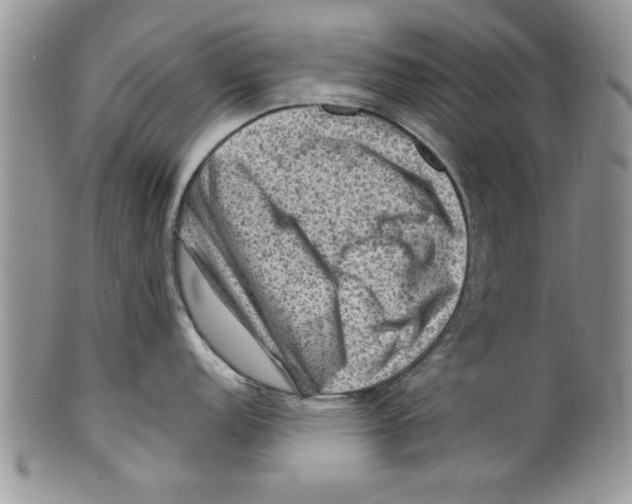 X0000099531152200806131122