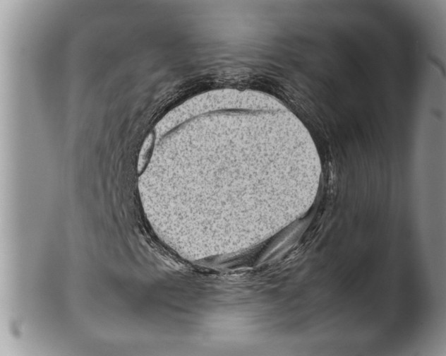 X0000099531153200806131121