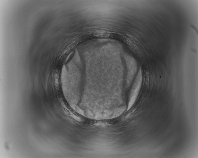 X0000099531154200806131121