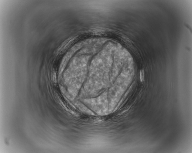 X0000099531155200806131121