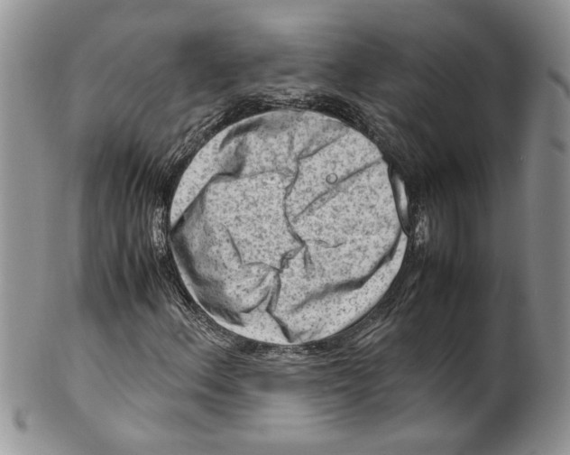 X0000099531156200806131121