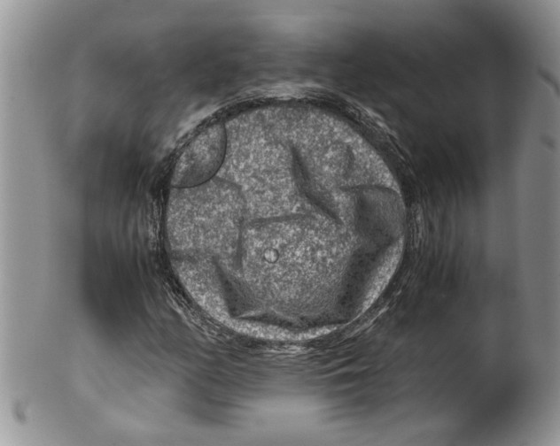 X0000099531158200806131121