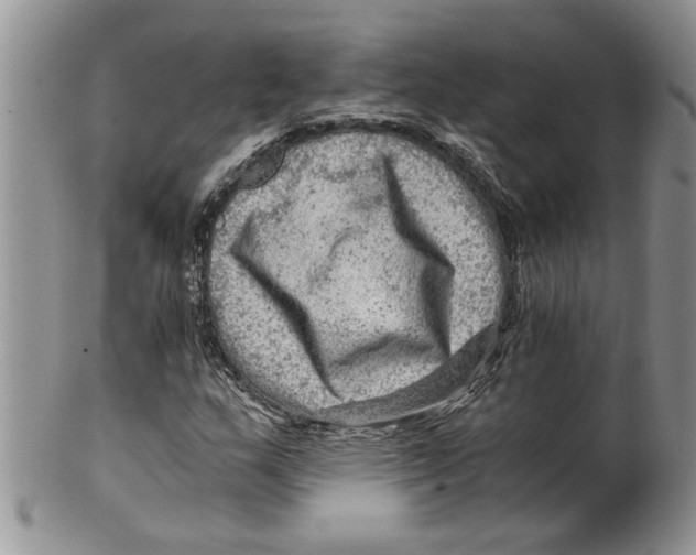 X0000099531159200806131121