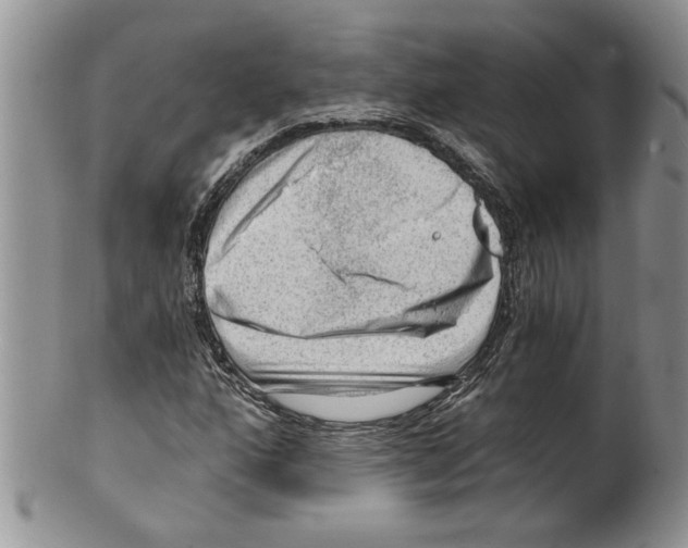 X0000099531160200806131121