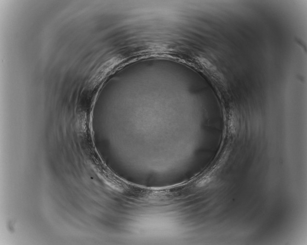 X0000099531161200806131121