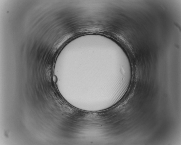 X0000099531162200806131121