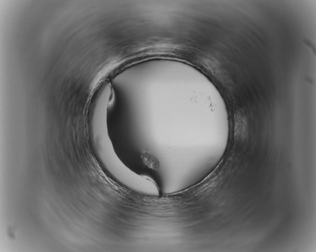 X0000099531164200806131121