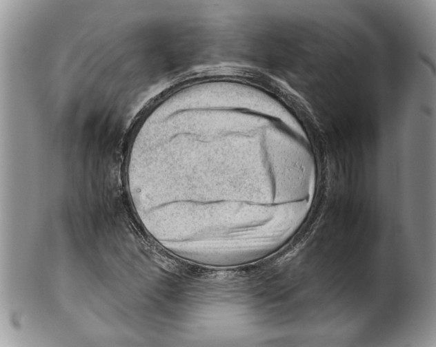 X0000099531166200806131121