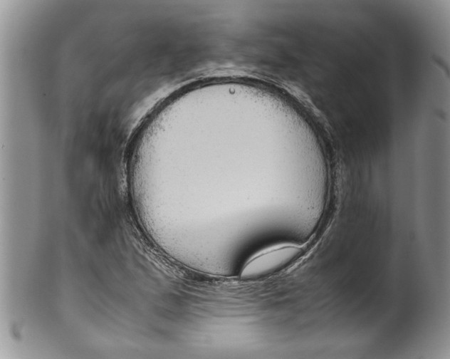 X0000099531167200806131121