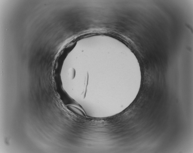 X0000099531168200806131121