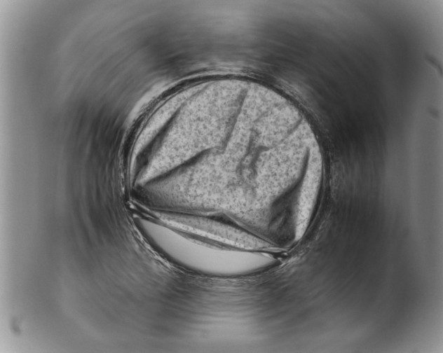 X0000099531172200806131121