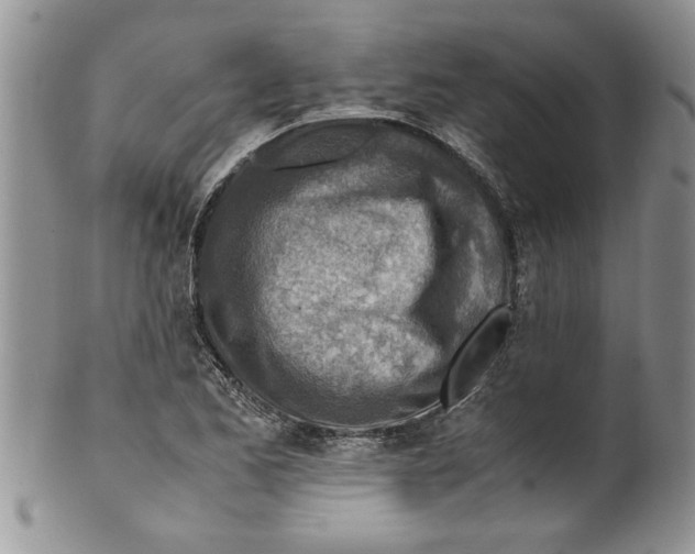 X0000099531173200806131121