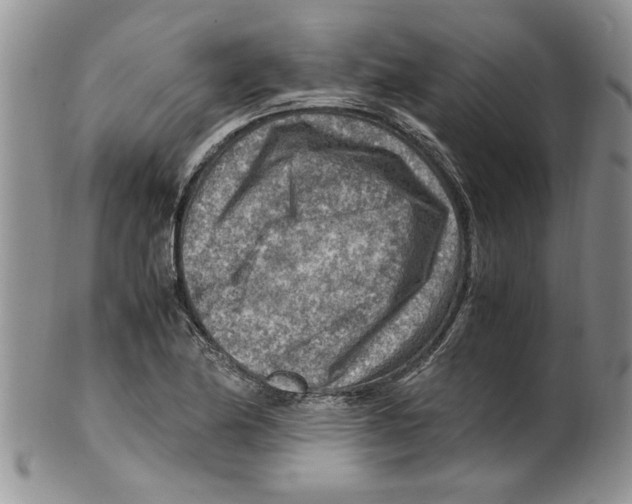 X0000099531174200806131121