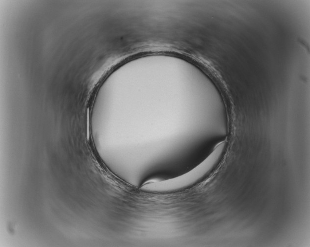 X0000099531175200806131121