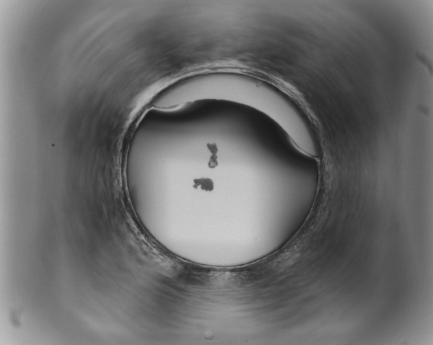 X0000099531176200806131121