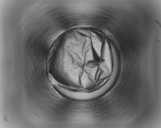 X0000099531177200806131121